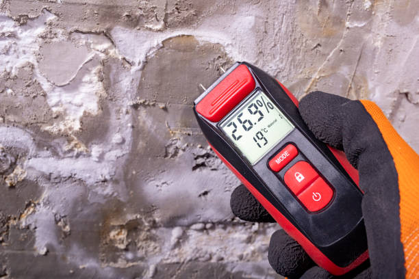 Best Mold Removal Company Near Me  in Rafter J Ranch, WY