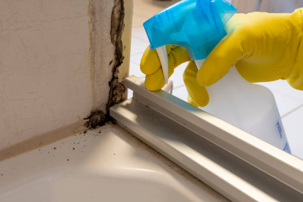 Best Crawl Space Mold Removal  in Rafter J Ranch, WY