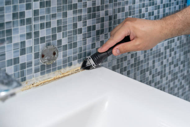 Best Residential Mold Removal  in Rafter J Ranch, WY