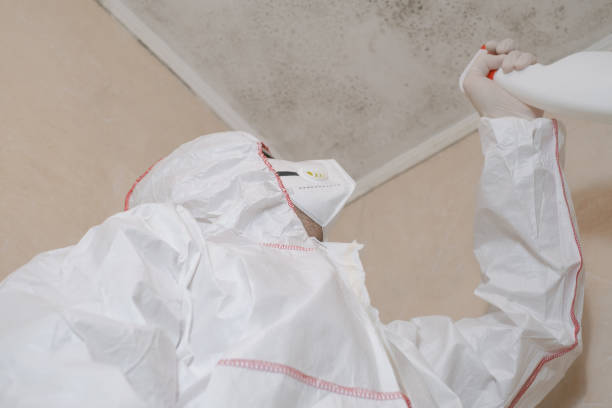 Best Professional Mold Removal  in Rafter J Ranch, WY
