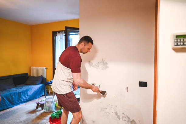 Best Black Mold Removal  in Rafter J Ranch, WY
